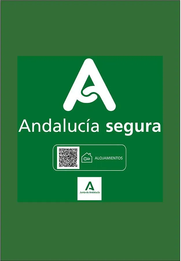 Holidays2Malaga Cobertizo del Conde with Parking Appartement